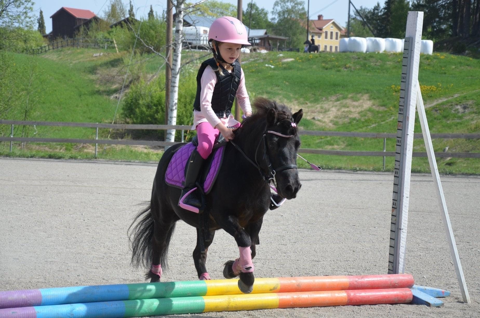 häst